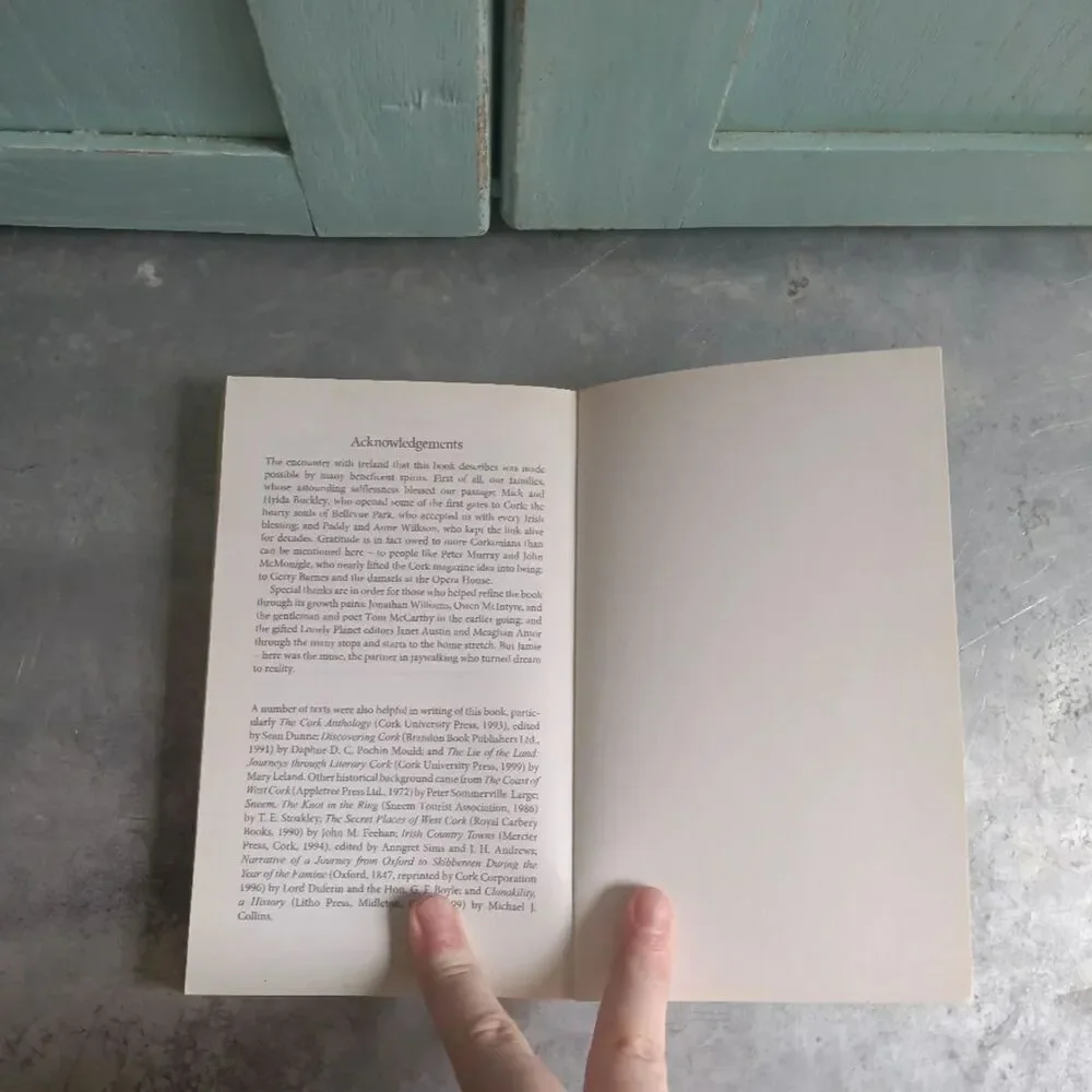 N/A jaywalking irish